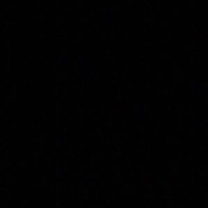 Meet your Posher, Nala